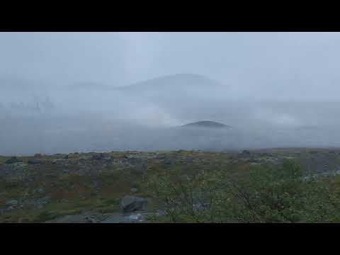 Видео: Золотые ХИБИНЫ