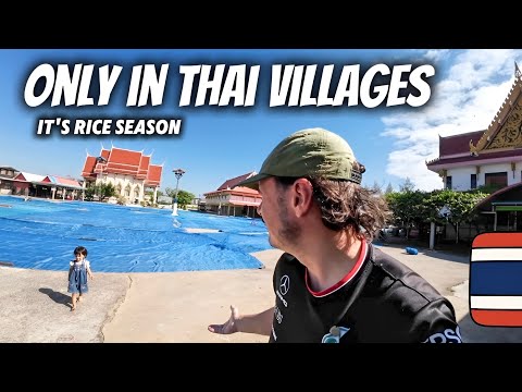 Видео: Это происходит каждый год в деревнях Таиланда 🇹🇭