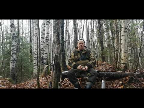 Видео: Удачная охота на зайца с эстонской гончей в октябре.