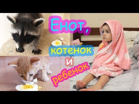 Видео: VLOG Лимон, Батон и Алиса. Как мы проводим день без Насти, Кати и Кости