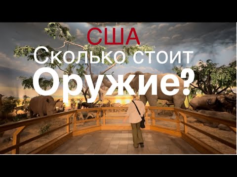 Видео: Магазин Cabela’s в США. Обзор цен на одежду и ОРУЖИЕ #жизньвсша #cabelas #одеждавсша 