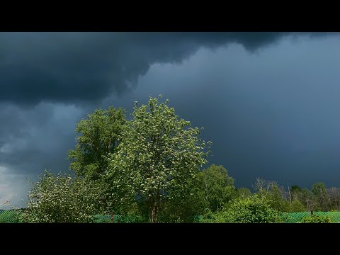 Видео: ГРОЗА с утра до вечера 5 июня