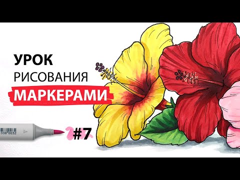 Видео: Как нарисовать тропический цветок? / Урок по рисованию маркерами для новичков #7