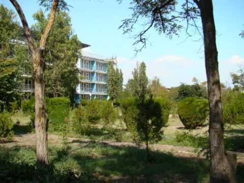 Видео: Пионерский лагерь "Пионер"