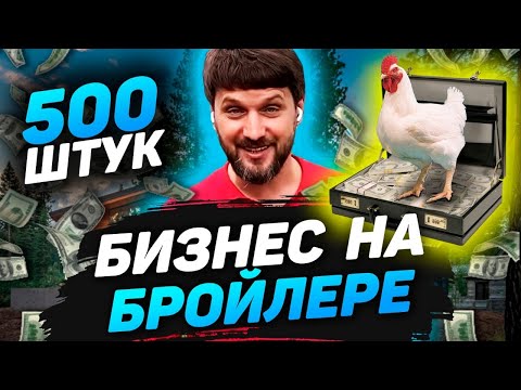 Видео: Выращивание бройлера 500 шт у себя на участке, соседи и запах помета, бизнес на бройлере кобб 500