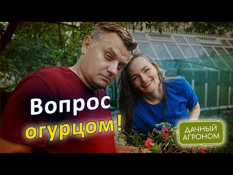 Видео: Огурец СБРАСЫВАЕТ ЗАВЯЗЬ что делать