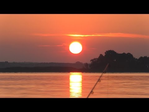 Видео: Рыбалка на фидер. Триполье. Стайки. Рыбацкий WeekEnd
