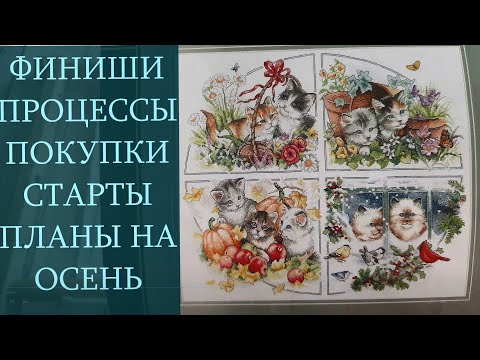 Видео: Вышивка крестом. Финиши, процессы, покупки, новые старты, планы на осень.