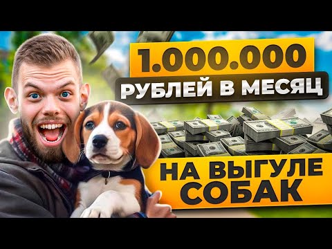 Видео: БИЗНЕС БЕЗ ВЛОЖЕНИЙ. Выгул собак как бизнес
