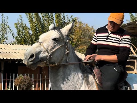 Видео: Суркоён Кыялдан +996-708-805-253 27 октября 2025 г.