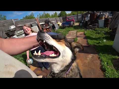 Видео: Добываю медь из советской техники!