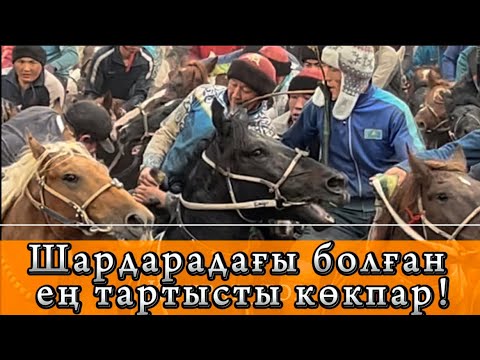 Видео: 06.11.2023 Шардара қаласында өткен Тойшы ақсақалдың ұлы Азамат мырзаның көкпары 1-бөлім!#кокпар2023