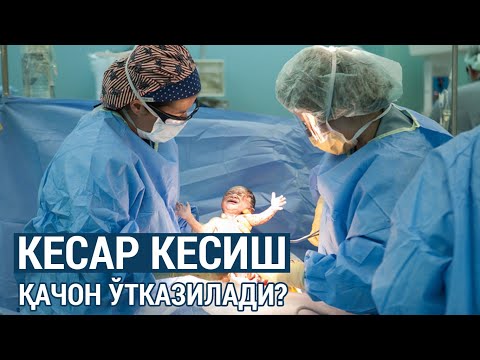 Видео: КЕСАР КЕСИШ: ўтказишга кўрсатмалар
