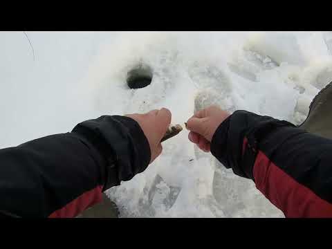 Видео: Рыбалка на белоярке. Безмотылка. Ржавчик.