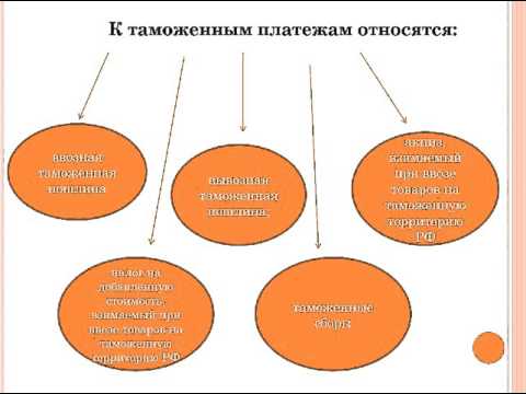 Видео: Гимранова Е С  ТО и ПАДМЭ урок 5 Таможенные платежи