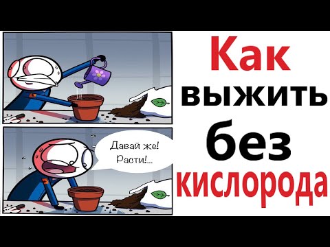 Видео: ПРИКОЛЫ! КАК ВЫЖИТЬ БЕЗ КИСЛОРОДА!!! Угарные МЕМЫ, смешные истории от Доми шоу!