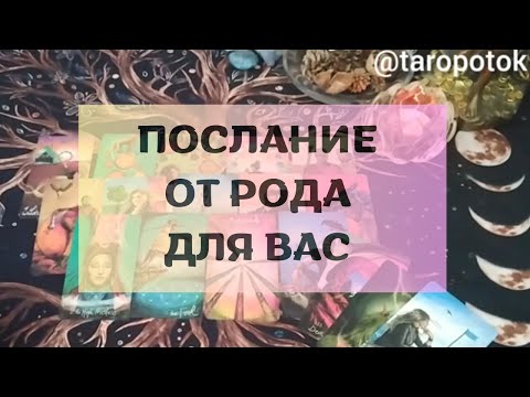 Видео: ПОСЛАНИЕ ОТ РОДА ДЛЯ ВАС СЕГОДНЯ