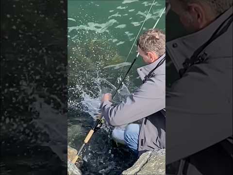 Видео: Клюнула Мощная, морская форель с берега!