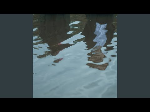 Видео: Существо