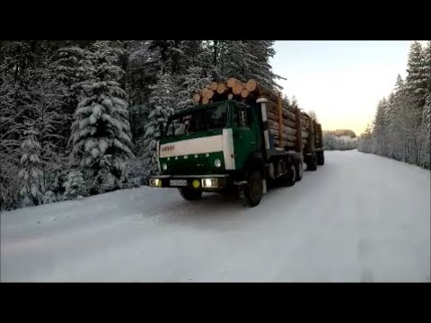 Видео: Потерял шлею, потерял ключ-балонник, не вышел в горку..