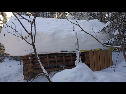 Видео: НЕДЕЛЮ В ТАЙГЕ В БРЕВЕНЧАТОМ ДОМИКЕ. ЖИЗНЬ ВНЕ СЕТИ. БОЛЕЗНЬ СВАЛИЛА НАПОВАЛ.