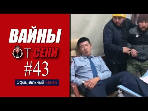 Видео: Свежая подборка вайнов SekaVines / Выпуск №43