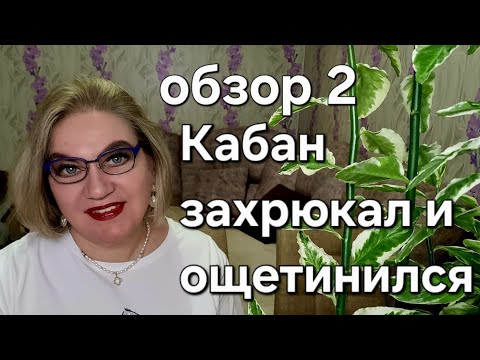 Видео: Кабан захрюкал и ощетинился