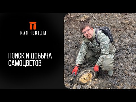 Видео: Поиск и добыча самоцветов 🔍