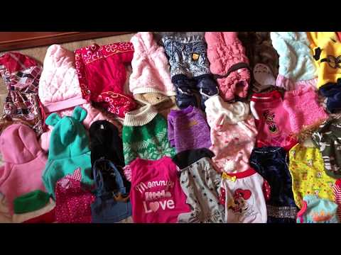 Видео: Вся одежда моей собаки Евы