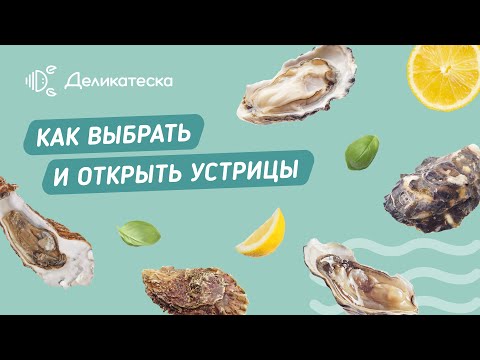 Видео: Гид по устрицам. Как легко открывать их дома? Как правильно есть? Какие устрицы самые вкусные?