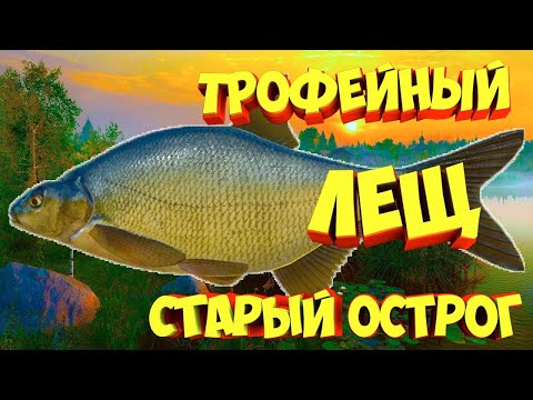 Видео: Ловим  Лещей и Окуней  на  фидер  на  ст  Остроге  ---  Русская рыбалка 4(серия 3 )!!!