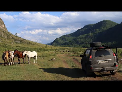 Видео: Горный Алтай. По Чуйскому тракту. От Каракола до Акташа.