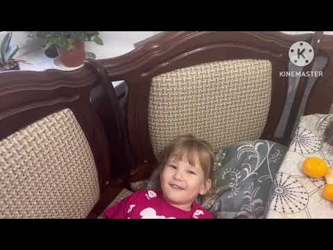 Видео: Семейные будни :Наряжаем  ёлку 🎄