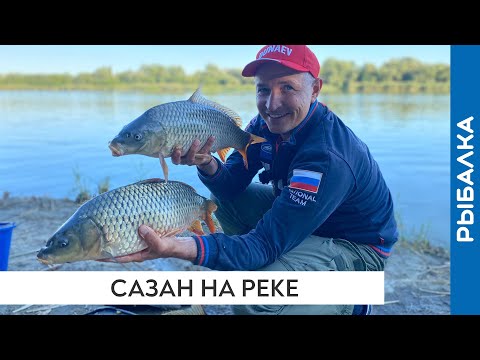 Видео: Как поймать сазана (дикого карпа) на реке на фидер? Советы, тонкости, рекомендации