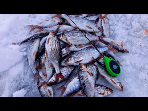 Видео: ПОСТАВИЛ ЭТУ БЕЗМОТЫЛКУ И ПОПЁРЛО! Ловля плотвы зимой на реке 2021.