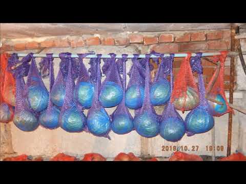 Видео: Самый простой и эффективный способ хранения - СВЁКЛЫ -МОРКОВИ - КАПУСТЫ !!! в подвале.