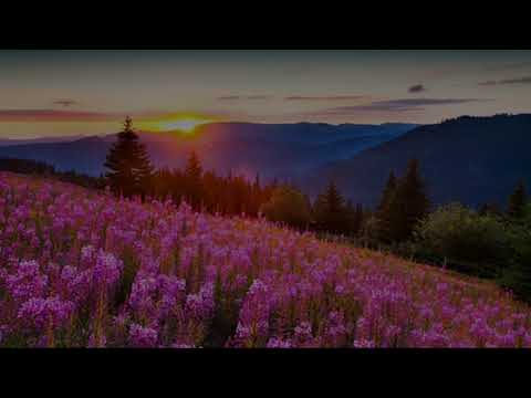 Видео: Кузьма Скрябин. Мать. Lyrics.