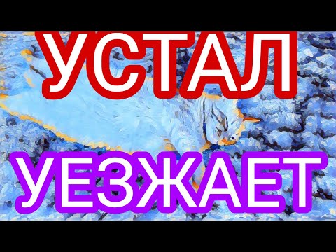 Видео: Самвел Адамян отчего устал и куда едет.В чем проблема?Запрещено?
