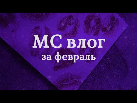 Видео: МС влог за февраль/комфортные месячные 🩸