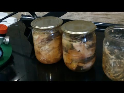 Видео: Риба в автоклаві - Товстолоб