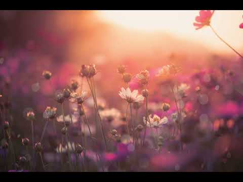 Видео: Медитация «Осознанность дыхания и тела»