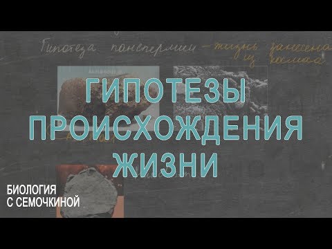 Видео: Гипотезы происхождения жизни