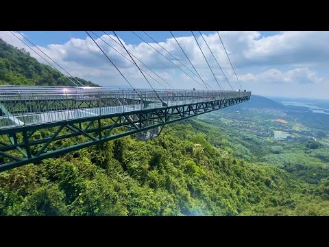 Видео: Джунгли Янода // Стеклянный мост // Хайнань 2024