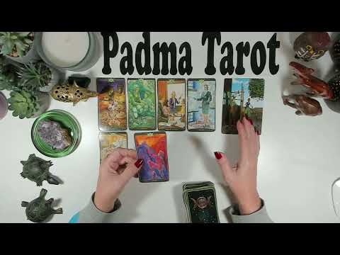 Видео: ПРОСТО СКАЖИ «НЕТ, СПАСИБО!» СЛЕДУЮЩИЕ 72 ЧАСА ⚠️ ОЧЕНЬ ВАЖНОЕ СООБЩЕНИЕ! Бонусное гадание на кар...