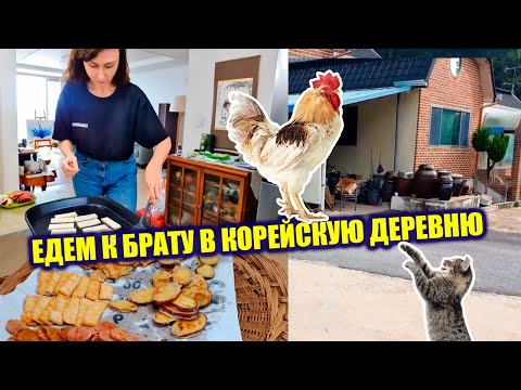 Видео: Отметили Чхусок с семьей брата в деревне  KOREA VLOG
