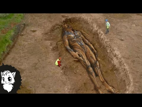 Видео: Эти Новые Находки найденные под Землей приводят в Ужас [Белый кот]