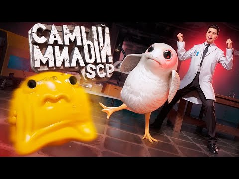 Видео: НОВЫЙ SCP - SCP-XXXX ПТИЦА КОМПАНЬОН! САМЫЙ МИЛЫЙ SCP В КОМПЛЕКСЕ в Garry's Mod SCP RP