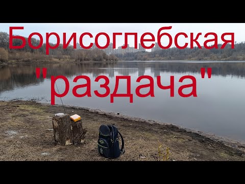 Видео: Борисоглебская "раздача" 14.11.2024. оз. Борисоглебское г.Раменское