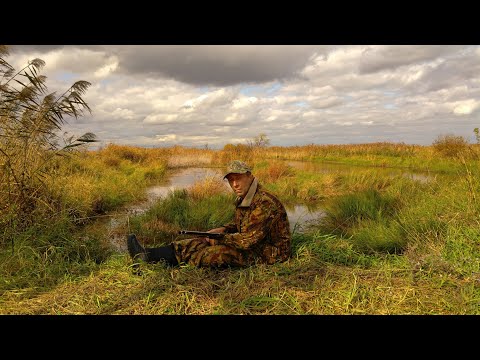 Видео: Осенняя Охота и Рыбалка на озере Ханка. Охота с собакой Русский спаниель. Охотничьи приключения.