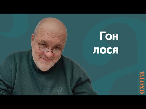 Видео: Гон лося. Валерий Кузенков о сроках гона.